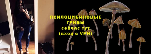 соль ск Арсеньев