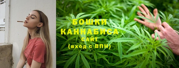 соль ск Арсеньев
