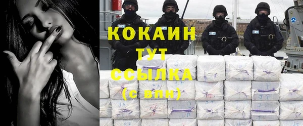 соль ск Арсеньев