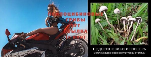 2c-b Балабаново